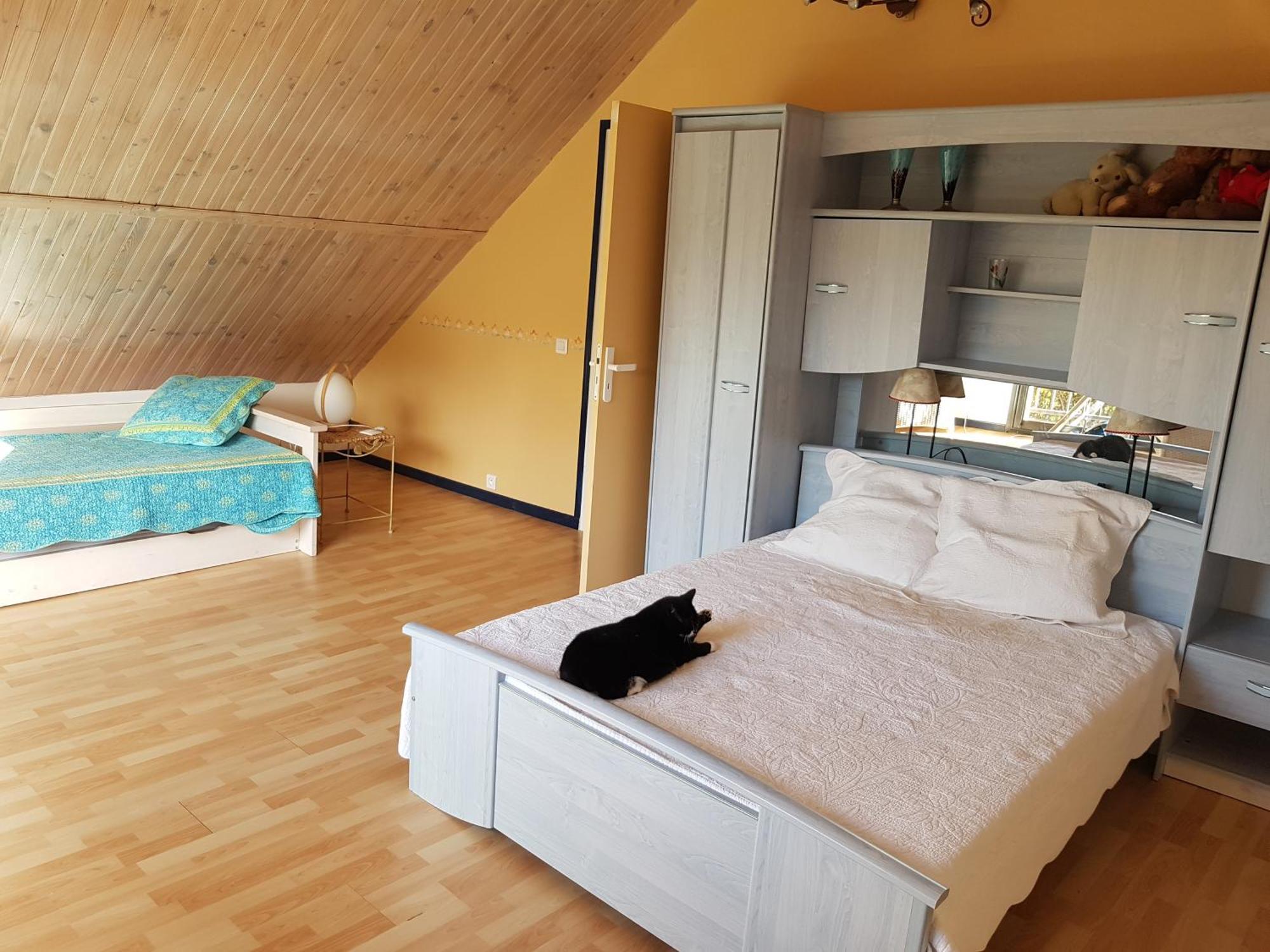 Les Pinguelles Bed and Breakfast Le Donjon Exteriör bild